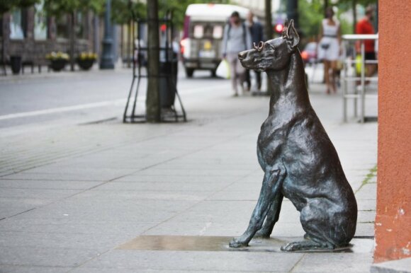 A sculpture of a dog in Vilnius on Gedimino avenue